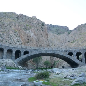 طبیعت