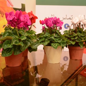 نمایشگاه بین المللی گل وگیاه