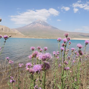 طبیعت