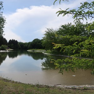 طبیعت