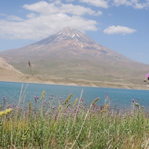 طبیعت