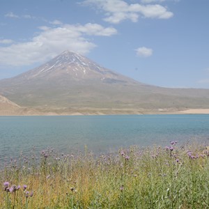 طبیعت