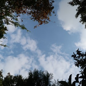 طبیعت