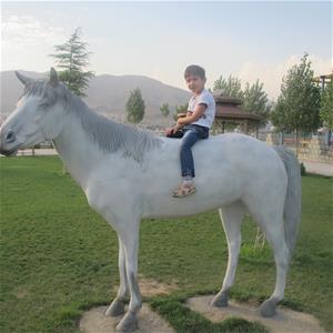 پارک جوانمردان