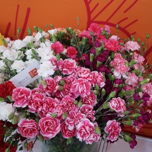 گل وگیاه