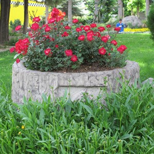طبیعت نمایشگاه