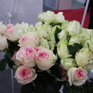 گل وگیاه