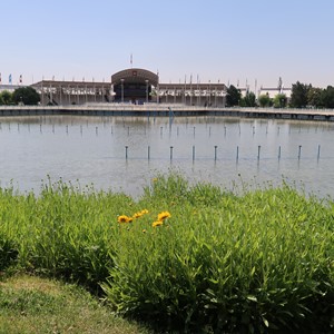 طبیعت