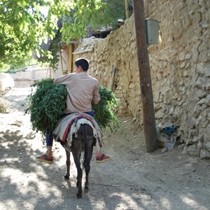 طبیعت و روستا