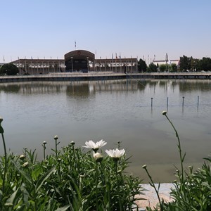 طبیعت
