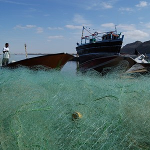 ساحل سیستان