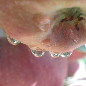 جهان قطره ها